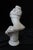 Mid 19th Century Emil Wolff Hand Carved Marble Bust of Diana With Deer Pelt Sash For Sale - Image 5 of 12