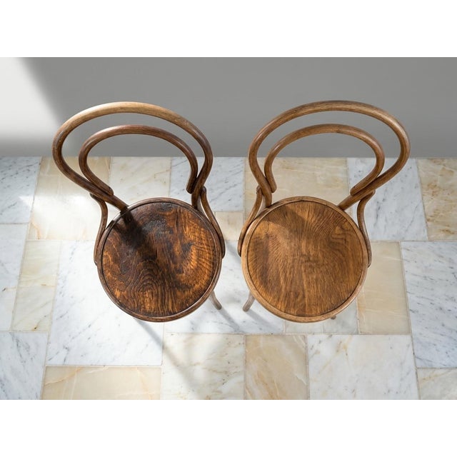 Traditional Antique J. & J. Kohn Bentwood No. 14 Vienna Café Chairs - Pair -With Rare Export Label, C. 1900-1914 For Sale - Image 3 of 12