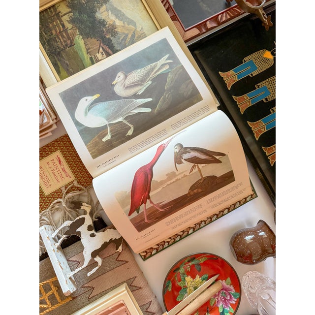 The Birds of America John James Audubon Book, 1971 Edition For Sale - Image 9 of 11