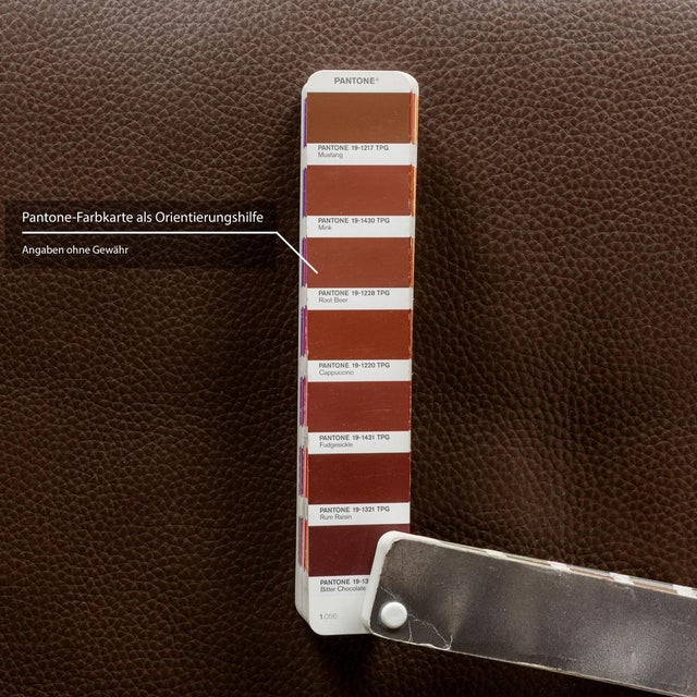 CL 100 3-Seater Sofa in Brown Leather from Erpo For Sale - Image 6 of 13