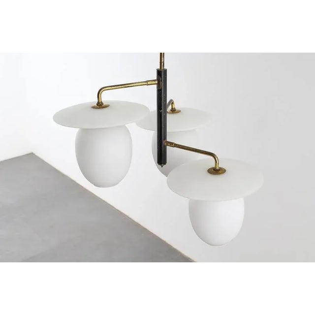 Mid-Century Modern Brass and Curved Glass Hanging Light, 1950s For Sale - Image 15 of 18