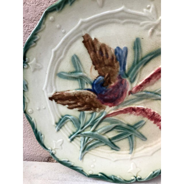 Lovely Majolica plate with bird and insect , leaves signed Saint Amand circa 1890.