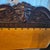 Late 19th Century 19th-Century Continental Renaissance Style Carved Walnut Lion Armchair in Gold Velvet For Sale - Image 5 of 7