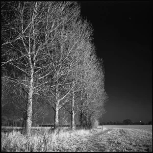 Paul Cooklin, West Thorpe I, Silver Gelatin Photograph