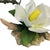 Rare Andrea by Sadek White Magnolia With Chickadee Porcelain Figurine With Box For Sale - Image 14 of 18
