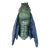 Large Terracotta Majolica Cicada Bavent Normandy For Sale