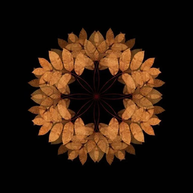 Edition of 10. All items are shipped as a print only and come unframed. Judith lyons is a photographic artist living and...