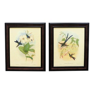 Pair of John Gould Lithographs Prints Hummingbird & Flowers Floral Avian For Sale