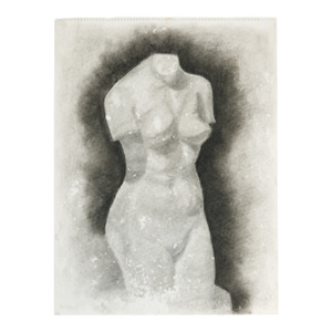 Study of a Female Torso - Andrea O., C. 1979