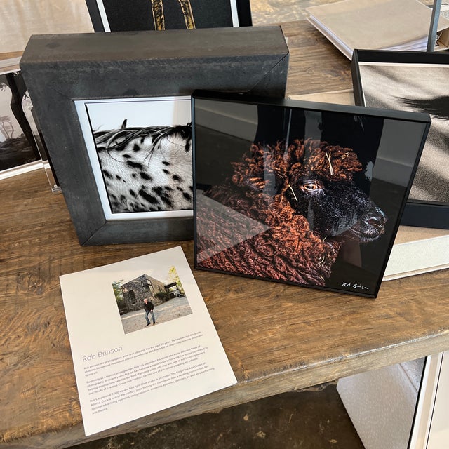 "Pearl" Contemporary Animal Portrait Print by Rob Brinson For Sale - Image 4 of 10