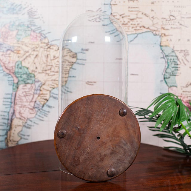Antique Victorian Display Dome, English, Glass, Taxidermy Showcase, Collectors For Sale - Image 9 of 10