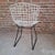 Chairs by Harry Bertoia for Knoll International, 1950, Set of 4 For Sale - Image 4 of 7