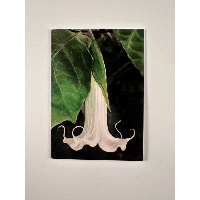 Ebony This Is a Set of 6 Botanical Folded Note Cards Printed From My Pastel Drawings of Plants and Flowers For Sale - Image 8 of 10