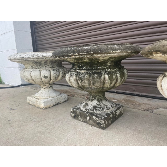 1940s Set of Four Vintage Gadrooned Cast Stone Garden Urns With Plinth Bases For Sale - Image 5 of 10