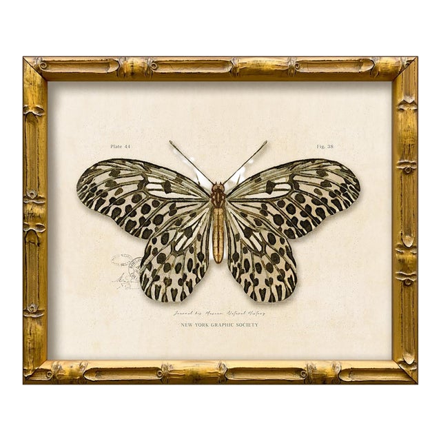 Contemporary Reproduction of Vintage "Garden Friends" Art Print, Leopard Framed Butterfly For Sale