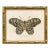 Contemporary Reproduction of Vintage "Garden Friends" Art Print, Leopard Framed Butterfly For Sale