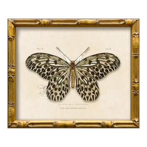 Contemporary Reproduction of Vintage "Garden Friends" Art Print, Leopard Framed Butterfly