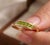 Discover effortless modern elegance with this striking peridot bypass ring. This contemporary piece features a sleek,...