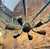 Stilnovo 1960s Mid-Century Modern Green Painted Metal and Brass Italian Chandelier For Sale - Image 4 of 9