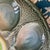 1960s Vintage French Majolica Oyster Service from Saint-Clément, 1960s, Set of 7 For Sale - Image 5 of 10