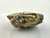 Vintage Natural Abalone Shell Small Bowl For Sale - Image 11 of 12