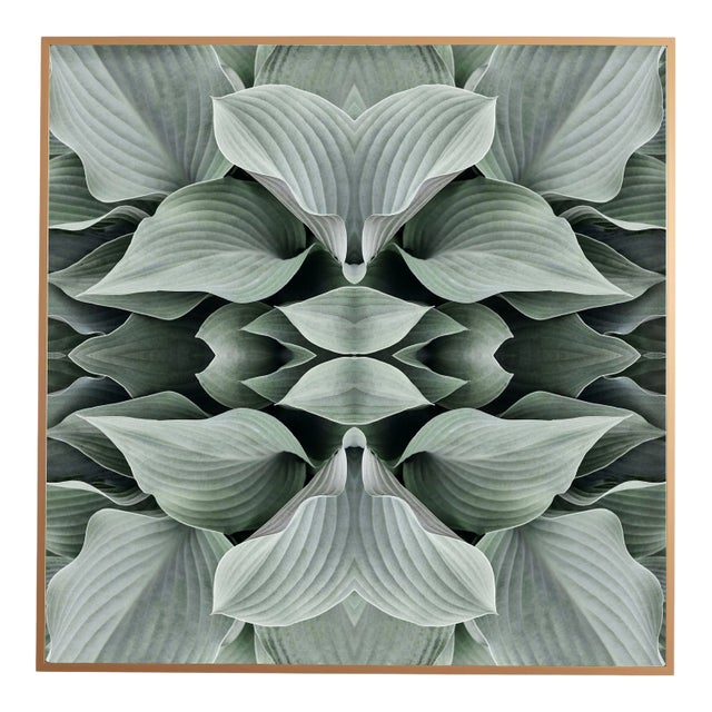 "No. 89" Contemporary Botanical Photograph by Erin Derby, Framed For Sale