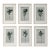 Set of 6 - One-of-a-Kind Dark Green Botanical Organic Modern Original Oil Paintings / Herbarium / Floral / Earth Tones For Sale