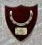 Wood Haydock & Bath Winner's Horseshoe Plaque, 1925 For Sale - Image 7 of 7