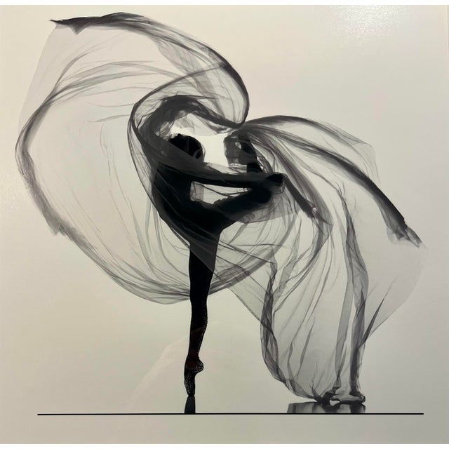 2015 Original Ballet Dancer Print by Erik Saulitis Signed, Personalized Aprox. dimensions: Frame: 20"H x 20"W Sight area:...