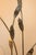 Silver Large Lamp in Silver-Plated Brass and Silk by Antonio Pavia, 1970s For Sale - Image 8 of 10