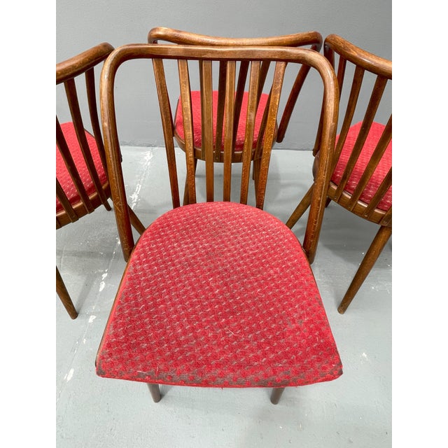 1960s Czechoslovakian Chairs by Antonín Šuman, 1960s, Set of 4 For Sale - Image 5 of 12