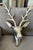 Silver Large Modernist Cast Polished Metal Deer Antler Head Wall Sculpture For Sale - Image 8 of 15