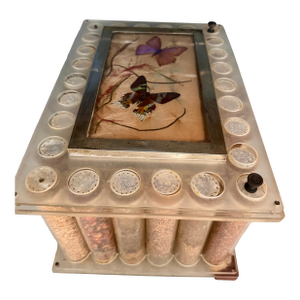 Vintage Lucite Scientific Display Case Seed Collection + Specimen Tray Notes