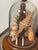Shell 4 Vintage Coastal Marine Specimens in Domed Clochets For Sale - Image 7 of 7