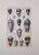19th Century, hand colored seashell engraving published by A. Fullarton & Co., London for "A History of the Earth and...