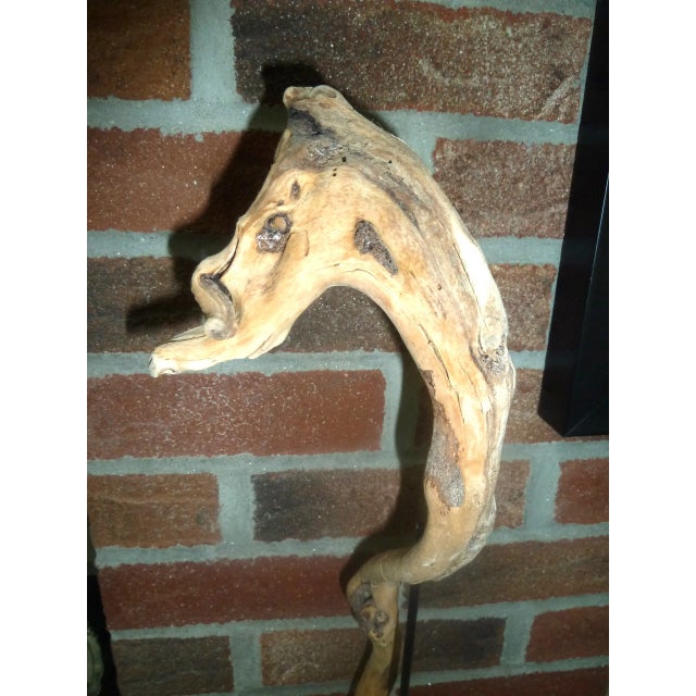 Mid 20th Century Seahorse Driftwood Art For Sale - Image 5 of 8