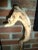 Mid 20th Century Seahorse Driftwood Art For Sale - Image 5 of 8