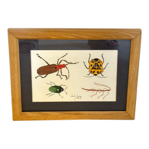 Chuck Baier 2000 Framed Bug Drawing