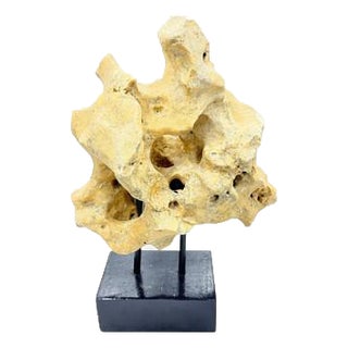 Indonesian Coral Stone On Teak Stand For Sale