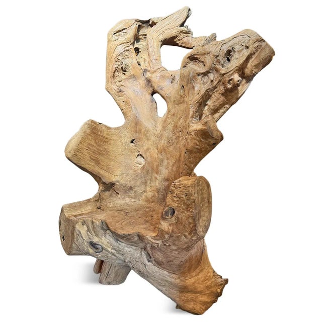 Impressive vintage giant teak root throne chair with natural organic freeform shape. This makes for a one-of-a-kind...