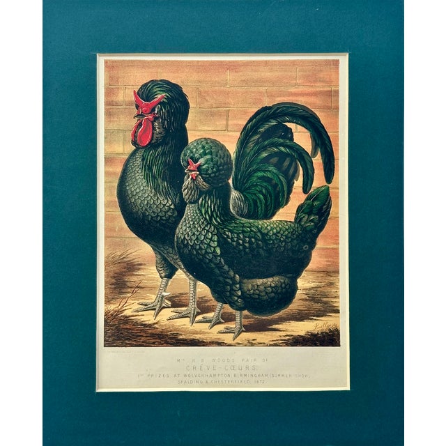 Black Crested Chickens, Original Chromolithograph by Ludlow For Sale