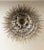 Mid-Century Modern Palmette Ceiling Light Three Levels, 104 Smoked Glasses For Sale - Image 3 of 10