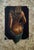 Svetoslav Stoyanov, Figurative, 2019, Oil on Canvas For Sale - Image 8 of 8