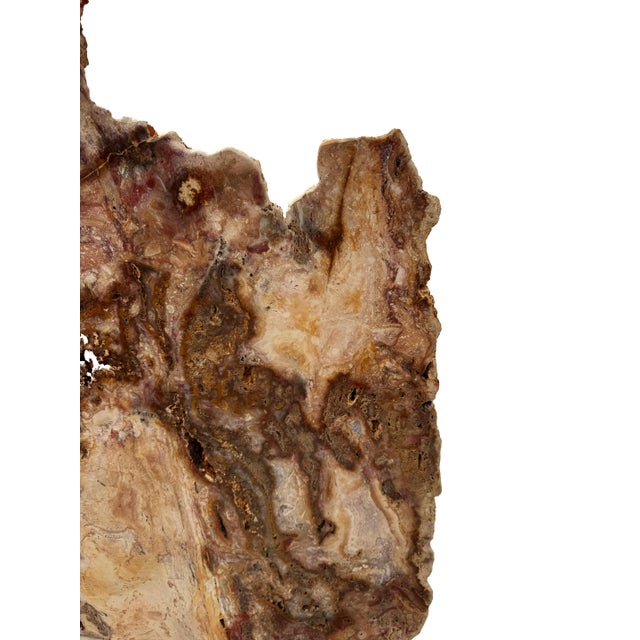 Contemporary Red Jasper Stone Sculpture by Xyleia Petrified Wood For Sale - Image 3 of 7