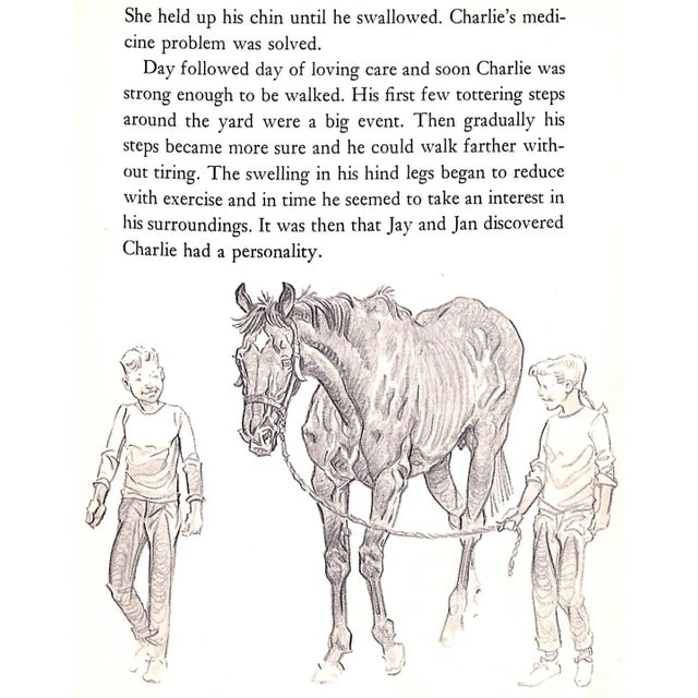 "Horse Haven" Book 1956 Caffrey, Nancy For Sale - Image 12 of 12
