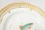 Flora Danica Fish Plates, Vintage and Vibrantly Painted, Royal Copenhagen - Set of 12 For Sale - Image 12 of 13