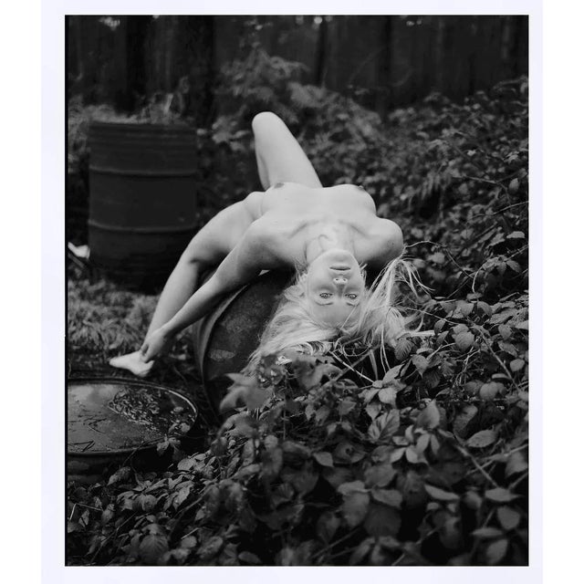 Alain Daussin, Valcor, 1992, Paper For Sale - Image 4 of 6