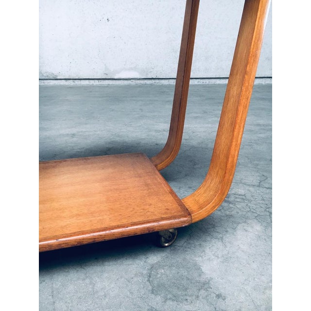 Brown Rolo Pb31 Tea Trolley attributed to Cees Braakman for Pastoe, 1950s For Sale - Image 8 of 18