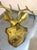 Mid-Century Modern Brass Deer Head Wall Hook For Sale - Image 3 of 5