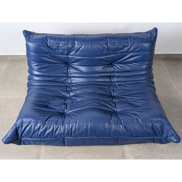 Animal Skin Vintage French Togo Sofa in Blue Leather by Michel Ducaroy for Ligne Roset, 1980s For Sale - Image 7 of 12